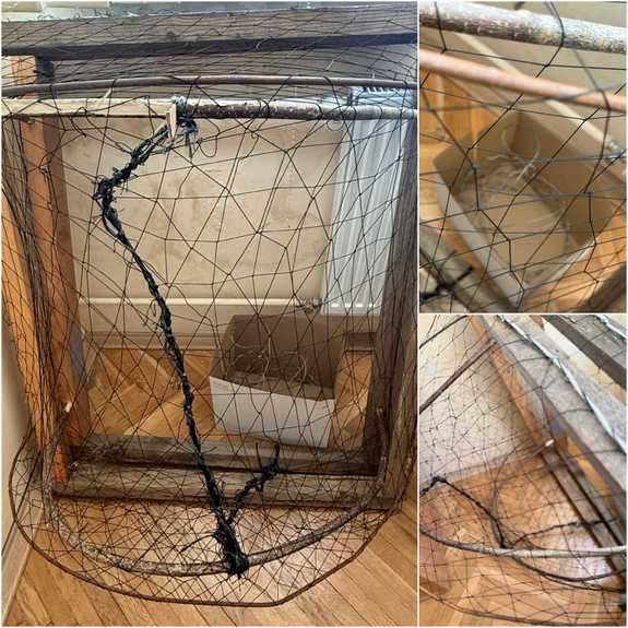 zabezpieczone wnyki i sieci rybackie