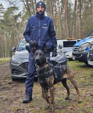 policyjny przewodnik z psem służbowym podczas szkolenia