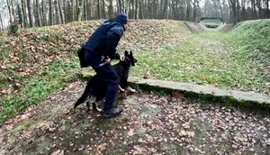 policyjny pies podczas szkolenia w lesie