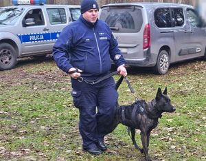 policyjny pies podczas szkolenia w lesie i jego przewodnik