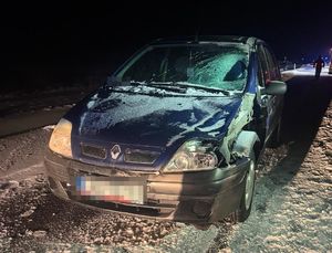 pojazd Renault biorący udział w wypadku