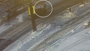 Kobieta zostaje potrącona na przejściu dla pieszych