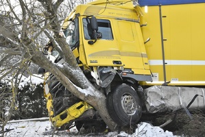 Fragment uszkodzonej ciężarówki, której kabina uderzyła w drzewo.