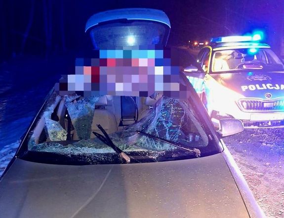 uszkodzony pojazd po zderzeniu z łosiem. Z tylu radiowóz