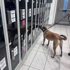 szkolenie kontrterrorystów i psów