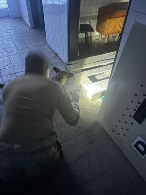 szkolenie kontrterrorystów i psów