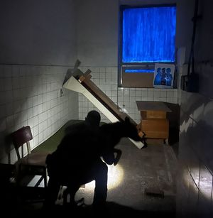 szkolenie kontrterrorystów i psów