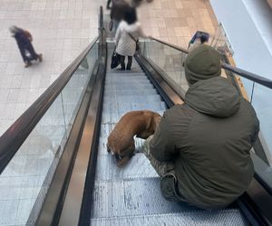 szkolenie kontrterrorystów i psów