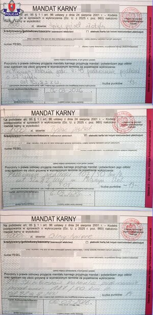 kolaż( zrobiony z trzech blankietów mandatów karnych ułożonych w pozycji pionowej