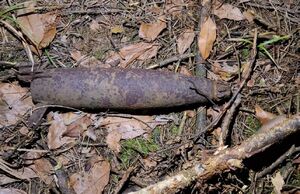 bomba lotnicza leżąca na leśnej ściółce