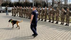 uczniowie oddziału mundurowego stoją w szeregu na placu, na wprost przed uczniami stoi policjant z psem służbowym