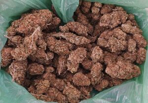 zabezpieczone narkotyki