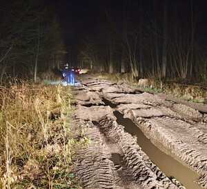 miejsce zdarzenia, droga przez las