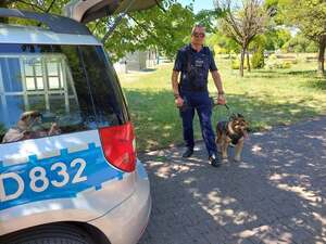 Krajowy Trening Pierwszej Pomocy z udziałem policjantów, przewodnik z psem
