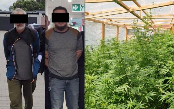 kolaż zdjęć. Zatrzymani dwaj mężczyźni i plantacja marihuany